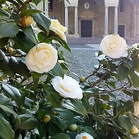 La Meridiana Acqui Terme