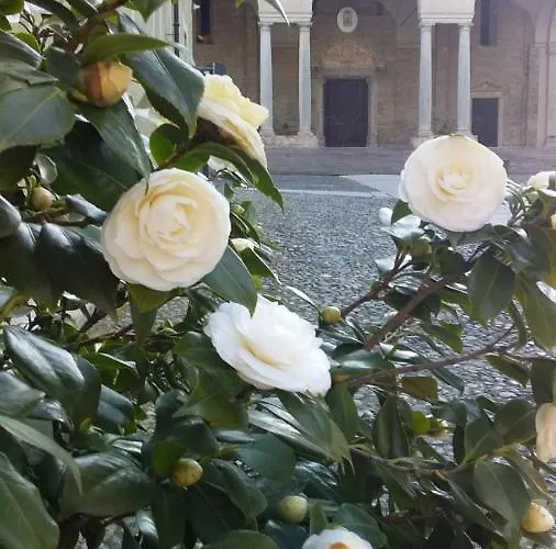 La Meridiana فندق